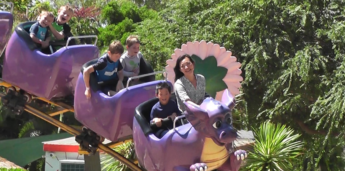 Photo of Dragon Express