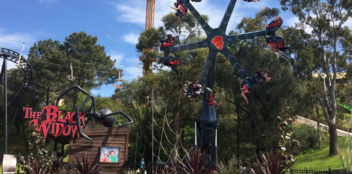 Photo of Black Widow